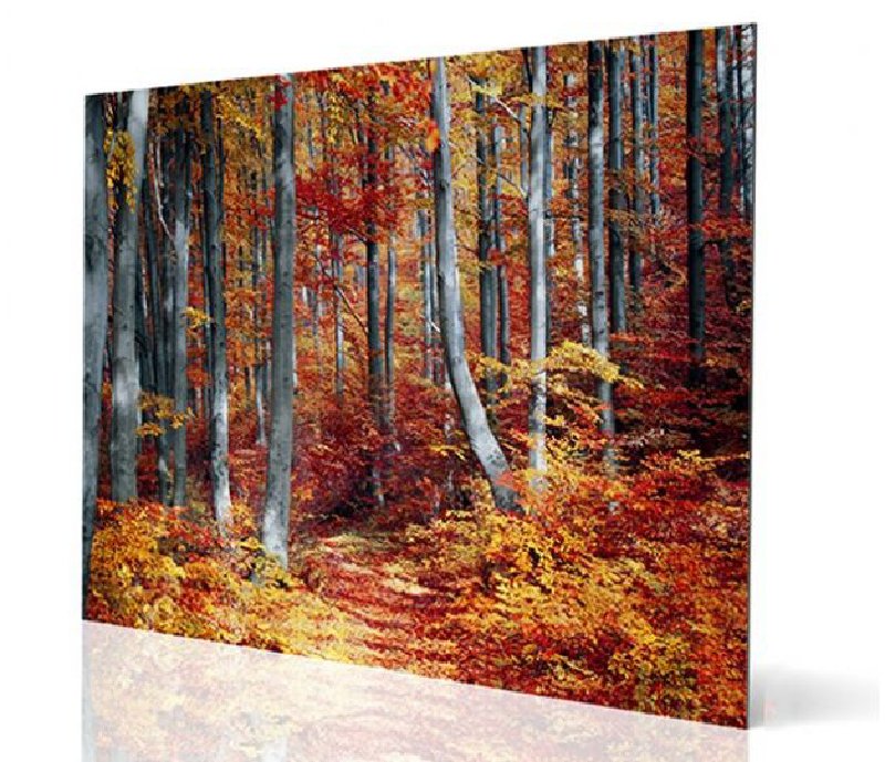 aluminio-dibond-pdt-img2