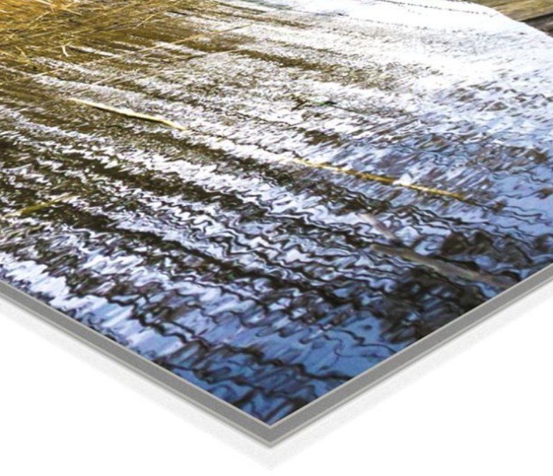 carton-pluma-pdt-img2